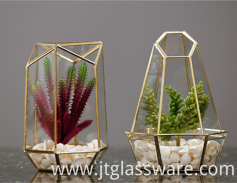 Plant Glass Terrarium Geometric